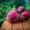 beetroot-687251