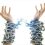 breaking-free-from-the-chains