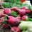 caroline-attwood-225496-unsplash