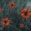 corona_virus