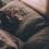 gregory-pappas-734927-unsplash