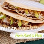 Honduras Baleadas