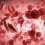 What Is the Link Between Diet and Heart Disease? Iron-strong-760x600