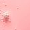 joanna-kosinska-559792-unsplash