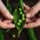 rawpixel-1071089-unsplash