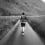 rawpixel-1162836-unsplash