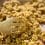 Spicy Quinoa Taco Meat