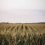travis-essinger-366895-unsplash