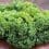www.lifeandhealth-2