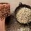 www.lifeandhealth-23