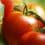www.lifeandhealth-4