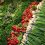www.lifeandhealth-5