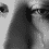Seven Deadly Psychological Sins | Emotionalism www.lifeandhealth-1